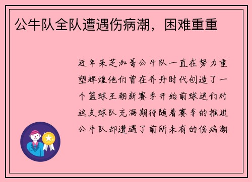 公牛队全队遭遇伤病潮，困难重重