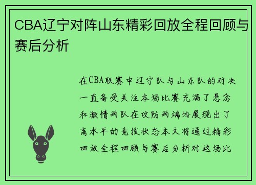 CBA辽宁对阵山东精彩回放全程回顾与赛后分析
